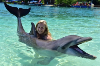 Delfineando en Roatán, Honduras 2018