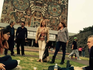 Reuniones en la UNAM, México 2015